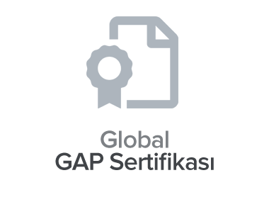 Global GAP Sertifikası